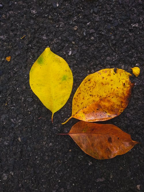有关俯視圖, 地面, 垂直拍摄的免费素材图片