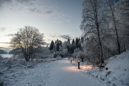 有关下雪的, 人行道, 冬季的免费素材图片