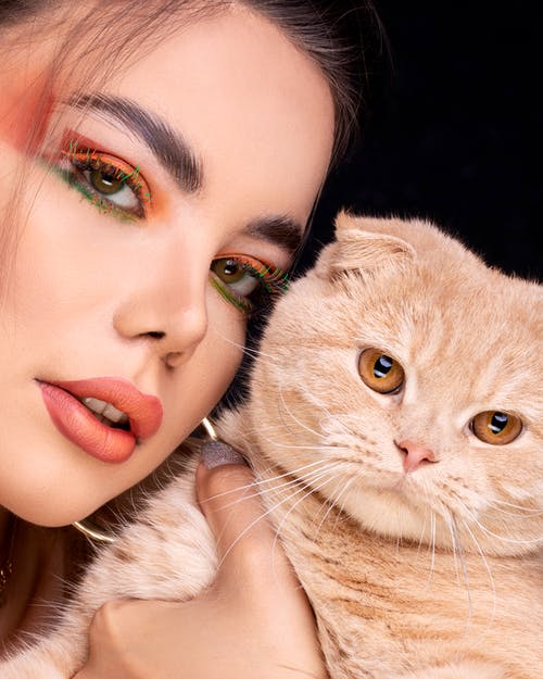 有关動物, 化妝, 可愛的免费素材图片