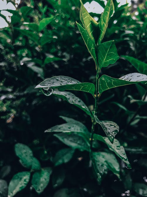 有关垂直拍摄, 工厂, 水的免费素材图片