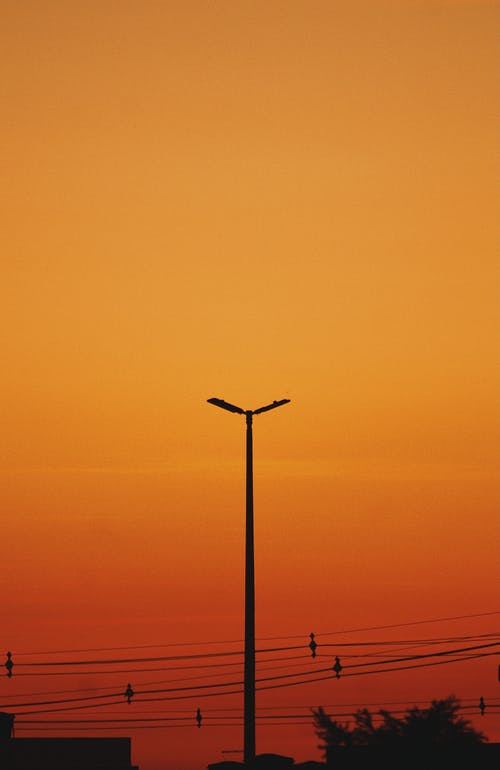 有关剪影, 垂直拍摄, 日出的免费素材图片