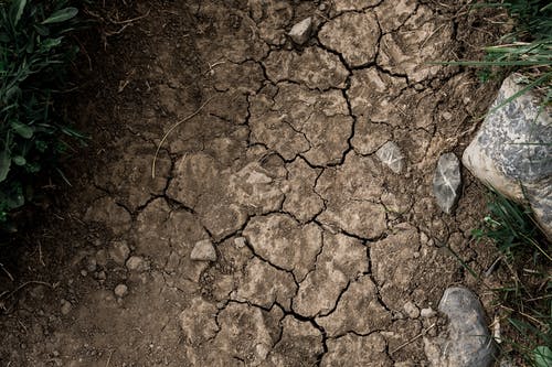 有关乾燥, 乾的, 地面的免费素材图片