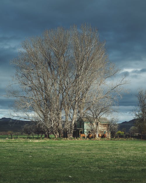有关土地, 垂直拍摄, 戶外的免费素材图片