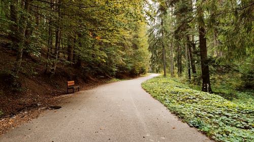 有关交通系統, 公園, 原本的免费素材图片