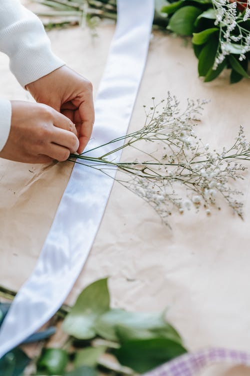 有关不露面, 分公司, 創作的的免费素材图片