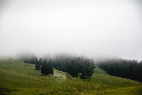 有关有薄霧的, 有霧, 有霧的的免费素材图片