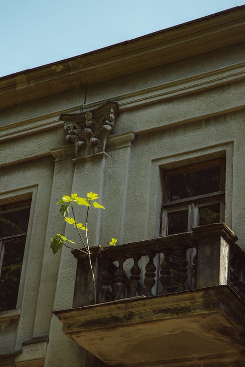 有关垂直拍摄, 工厂, 建築外觀的免费素材图片