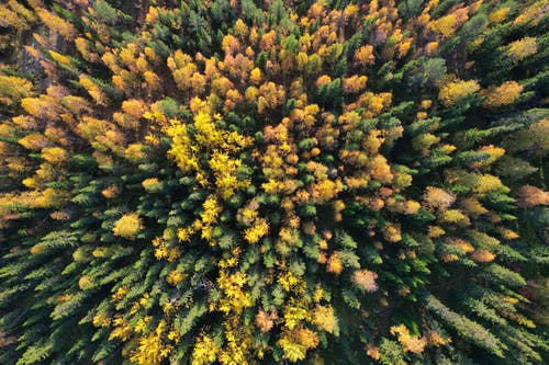 有关从上面查看, 俄國, 俯視圖的免费素材图片