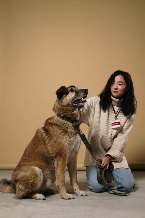 有关動物, 動物的鼻子, 哺乳動物的免费素材图片