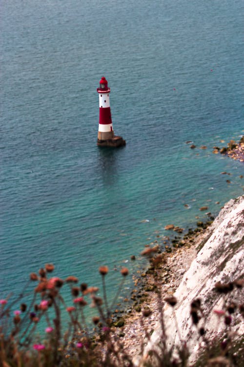 有关垂直拍摄, 天性, 海景的免费素材图片