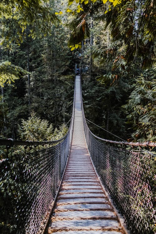 有关吊橋, 垂直拍摄, 山区的免费素材图片