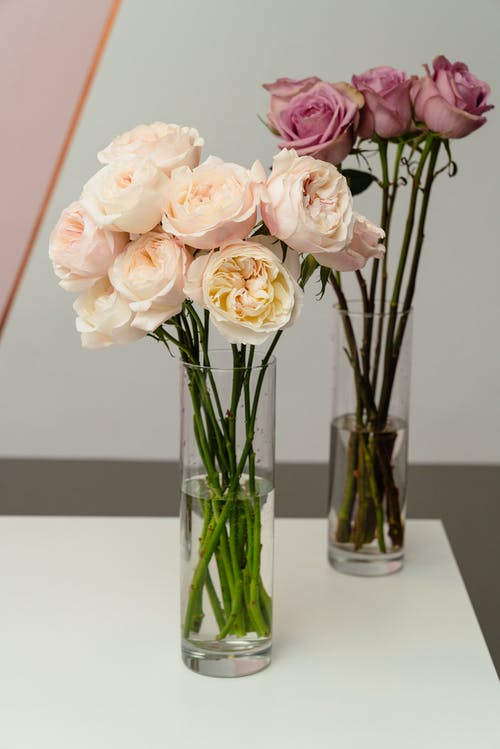 有关一串, 垂直拍摄, 植物群的免费素材图片