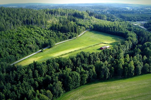 有关广角镜头, 景觀, 田的免费素材图片