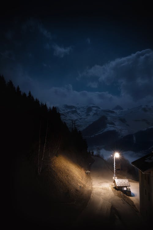 有关光, 冬季, 垂直的的免费素材图片