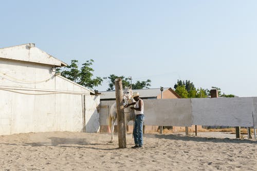 有关人, 打領帶, 木原木的免费素材图片