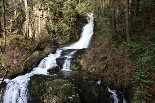 有关天性, 山, 樹木的免费素材图片