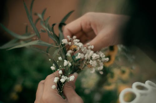 有关手, 植物群, 樹葉的免费素材图片