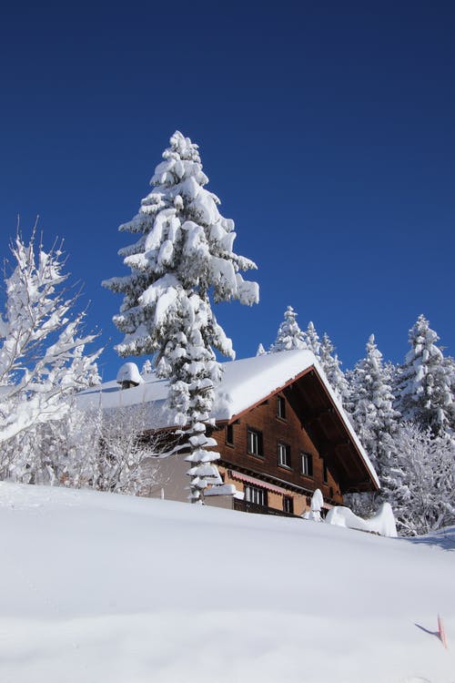 有关下雪的, 低角度拍攝, 冬季的免费素材图片
