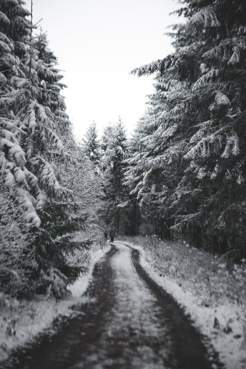 有关下雪的天氣, 冬季, 冷的免费素材图片