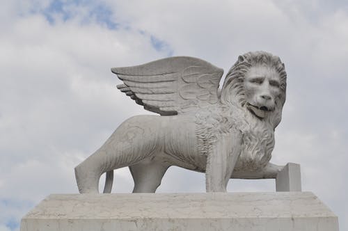 有关低角度拍攝, 動物, 古老的的免费素材图片