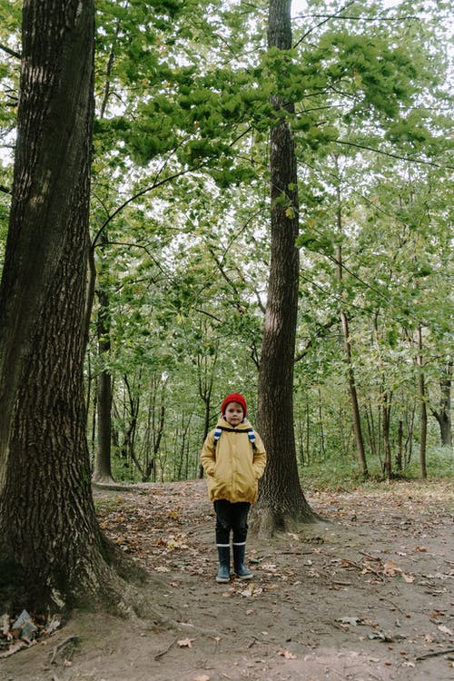 站在森林中间的棕色外套的女人 · 免费素材图片