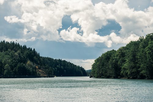 有关景觀, 樹木, 水的免费素材图片