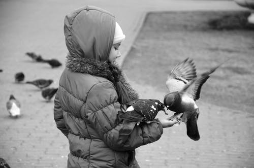 有关bw摄影, 側面圖, 單色的免费素材图片