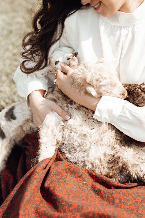 有关垂直拍摄, 女人, 山羊的免费素材图片