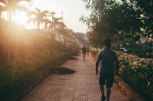有关人行道, 小徑, 後視圖的免费素材图片