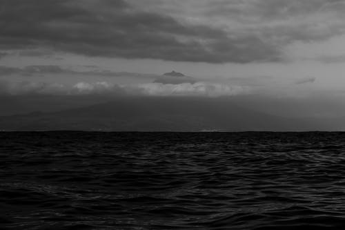 有关天性, 天空, 微微的免费素材图片