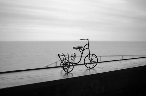 有关停, 海, 海洋的免费素材图片