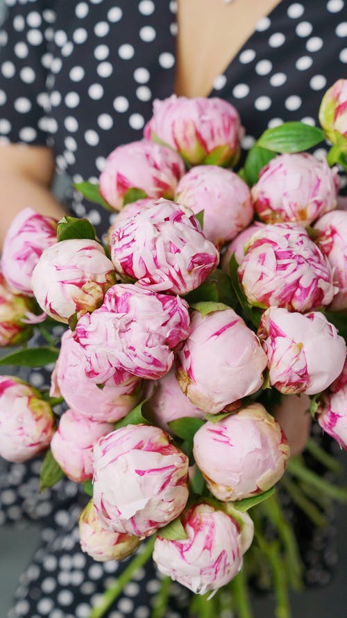 有关人, 圓點連衣裙, 垂直拍摄的免费素材图片