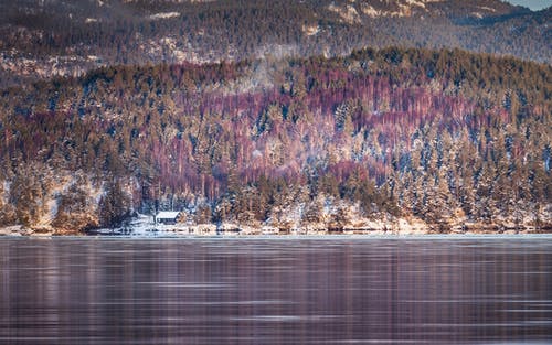 有关冬季, 天性, 戶外的免费素材图片