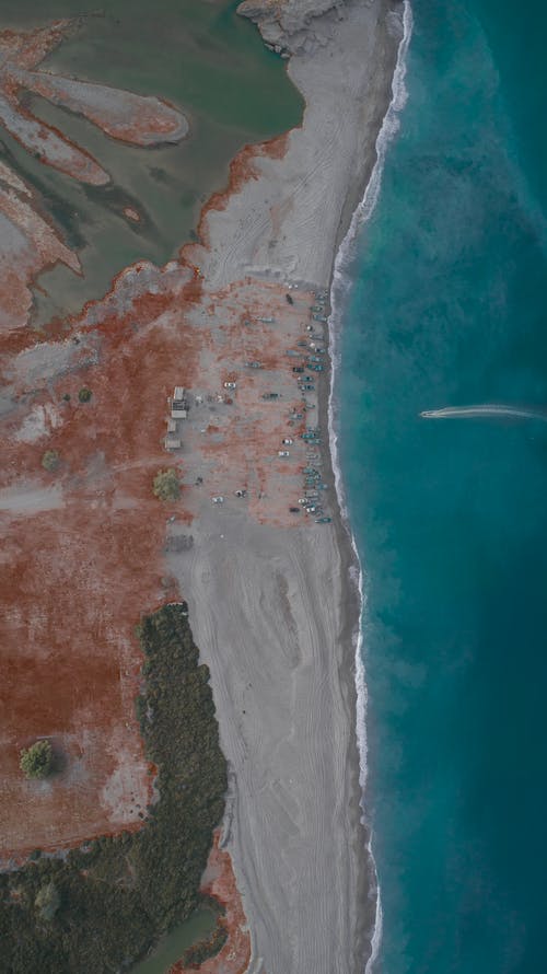 有关樹木, 水體, 海洋的免费素材图片