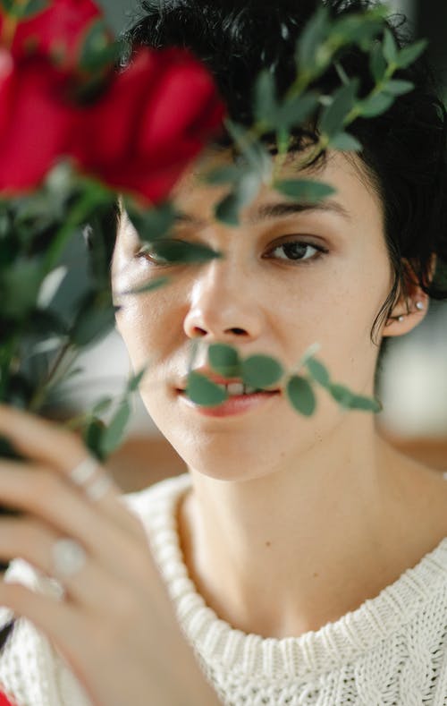 有关一串, 事件, 假日的免费素材图片