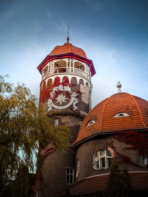 有关俄國, 加里宁格勒, 垂直拍摄的免费素材图片