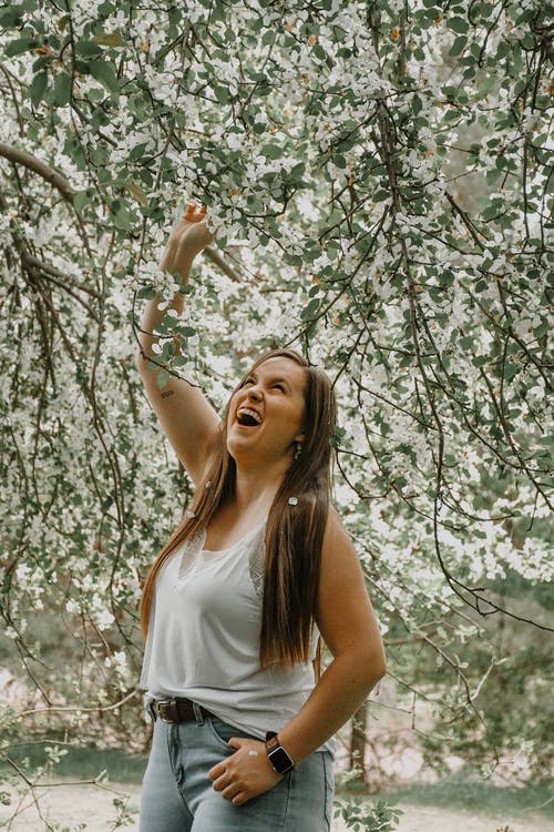 有关人, 分支機構, 垂直拍摄的免费素材图片