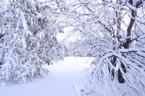 有关下雪的天氣, 冬季, 冷的免费素材图片