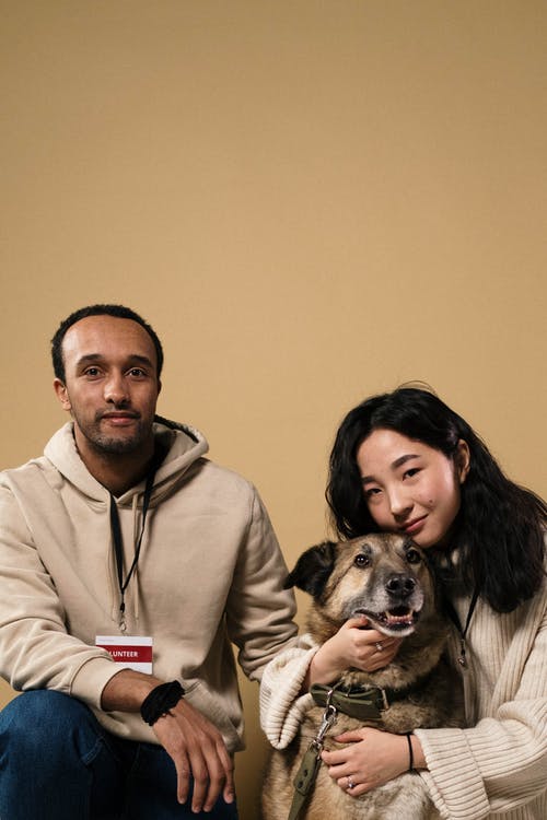 有关伴侶, 動物, 動物的鼻子的免费素材图片