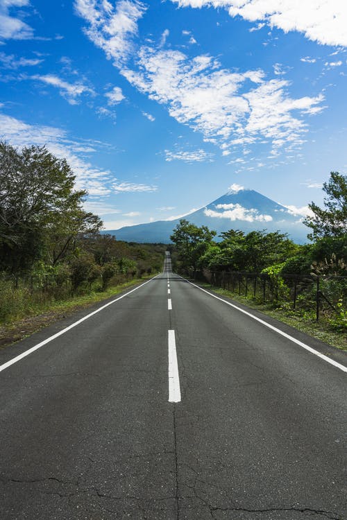 有关垂直拍摄, 樹木, 直行的免费素材图片