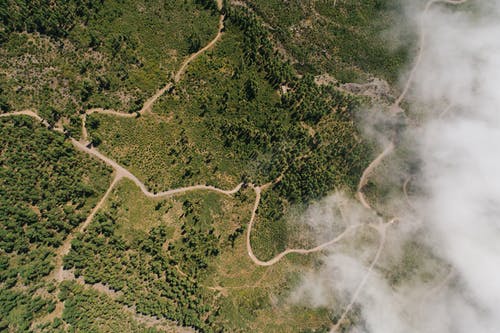 有关俯視圖, 土地, 天性的免费素材图片