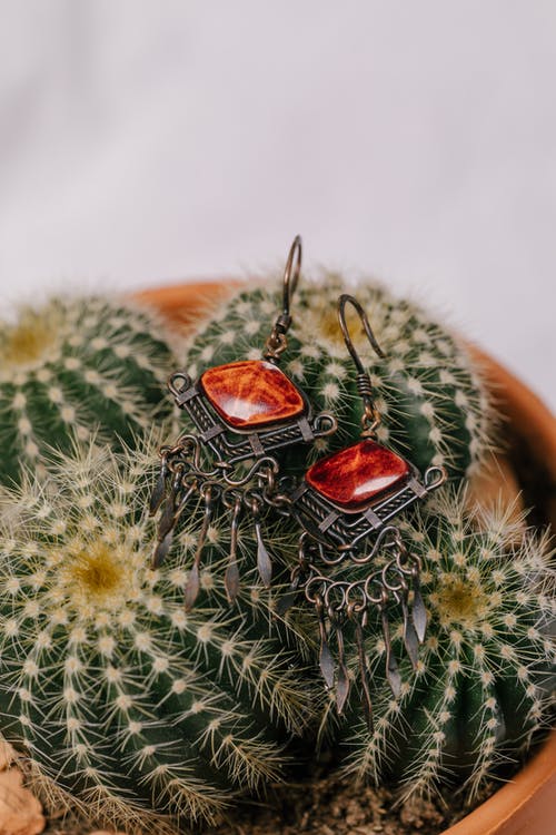 有关产品摄影, 仙人掌, 垂直拍摄的免费素材图片