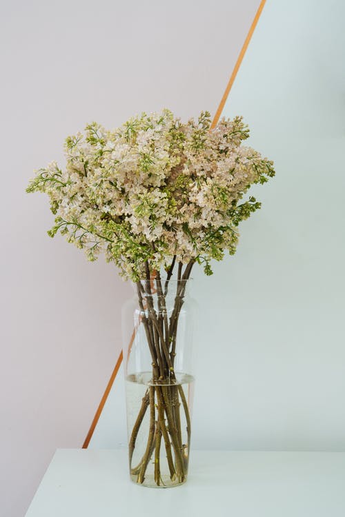 有关一串, 垂直拍摄, 新鮮的免费素材图片