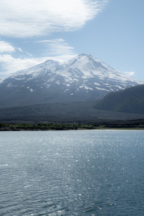 有关垂直拍摄, 壁紙, 天性的免费素材图片