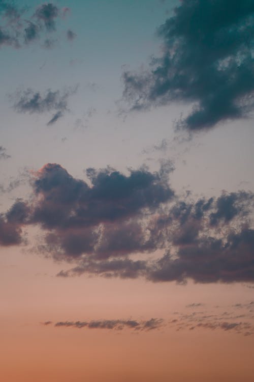 有关低角度拍攝, 垂直拍摄, 氣氛的免费素材图片