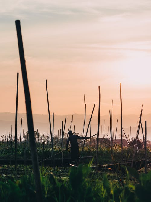 有关人, 垂直拍摄, 棍子的免费素材图片