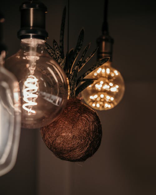 有关垂直拍摄, 特写, 裝飾品的免费素材图片