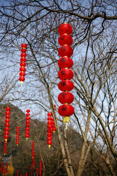有关中國燈籠, 傳統, 垂直的的免费素材图片