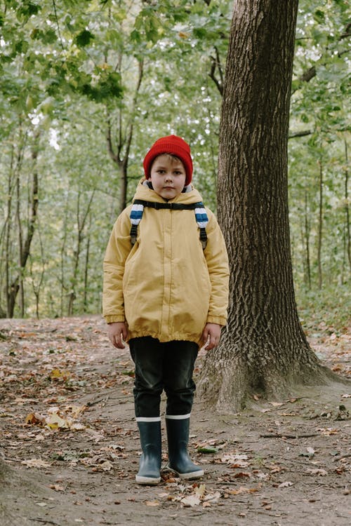 站在树旁边的棕色夹克的男孩 · 免费素材图片