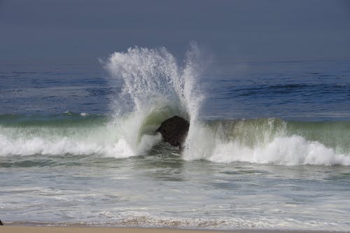 有关加州, 波浪撞擊, 海的免费素材图片